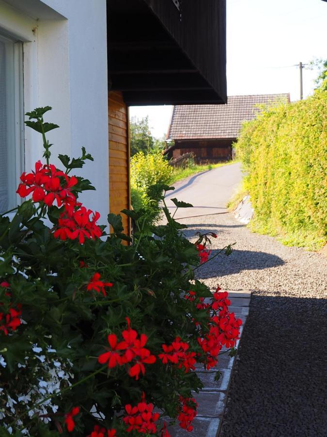 Chata Eliska Příkrý Exteriér fotografie
